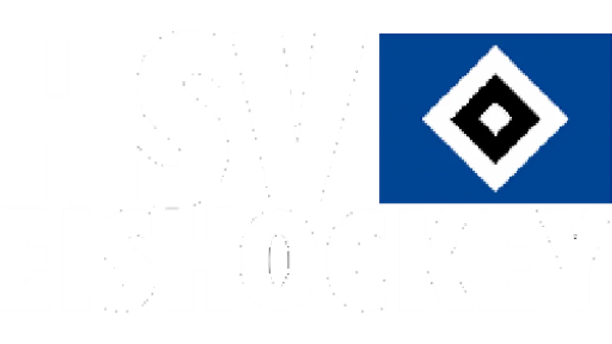 Hamburger SV vs Borussia