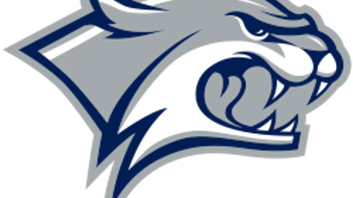 New Hampshire Wildcats