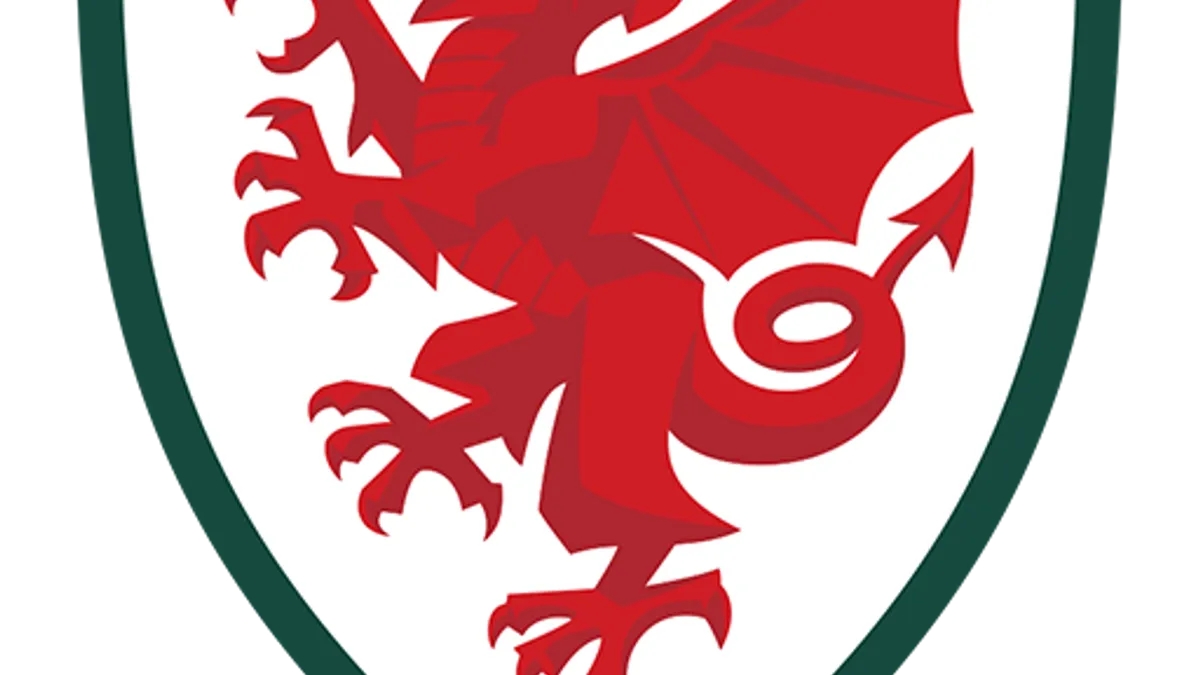 Wales vs Japan - Nations Championship