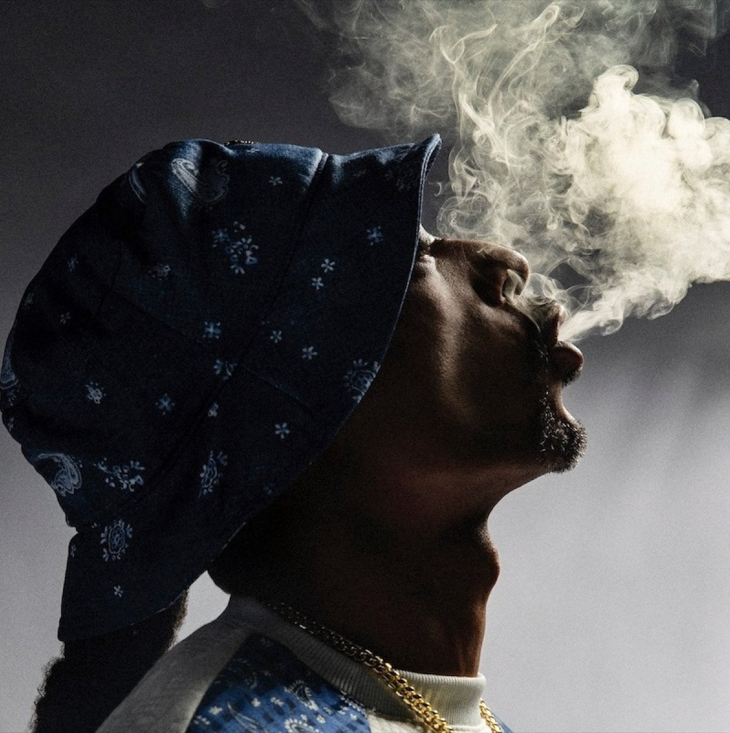 Mount Westmore with Snoop Dogg, Ice Cube and more San Jose
