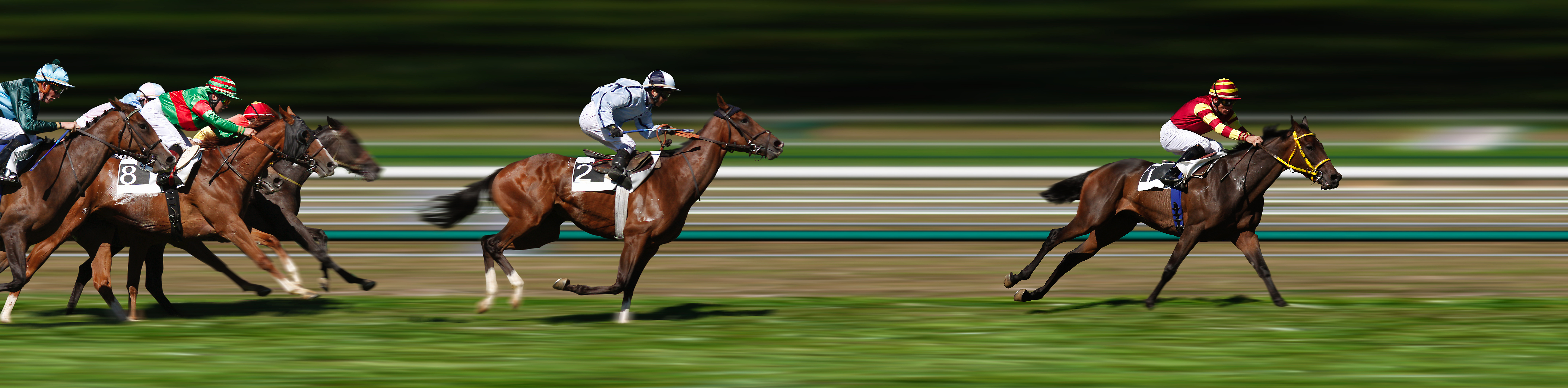 Qatar Goodwood Festival 2026 - Stewards' Cup Day