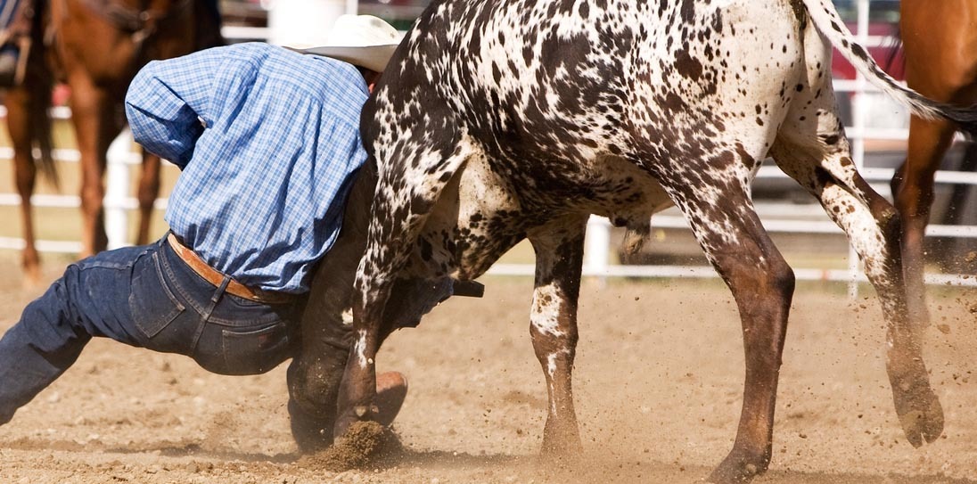 San Antonio Stock Show and Rodeo
