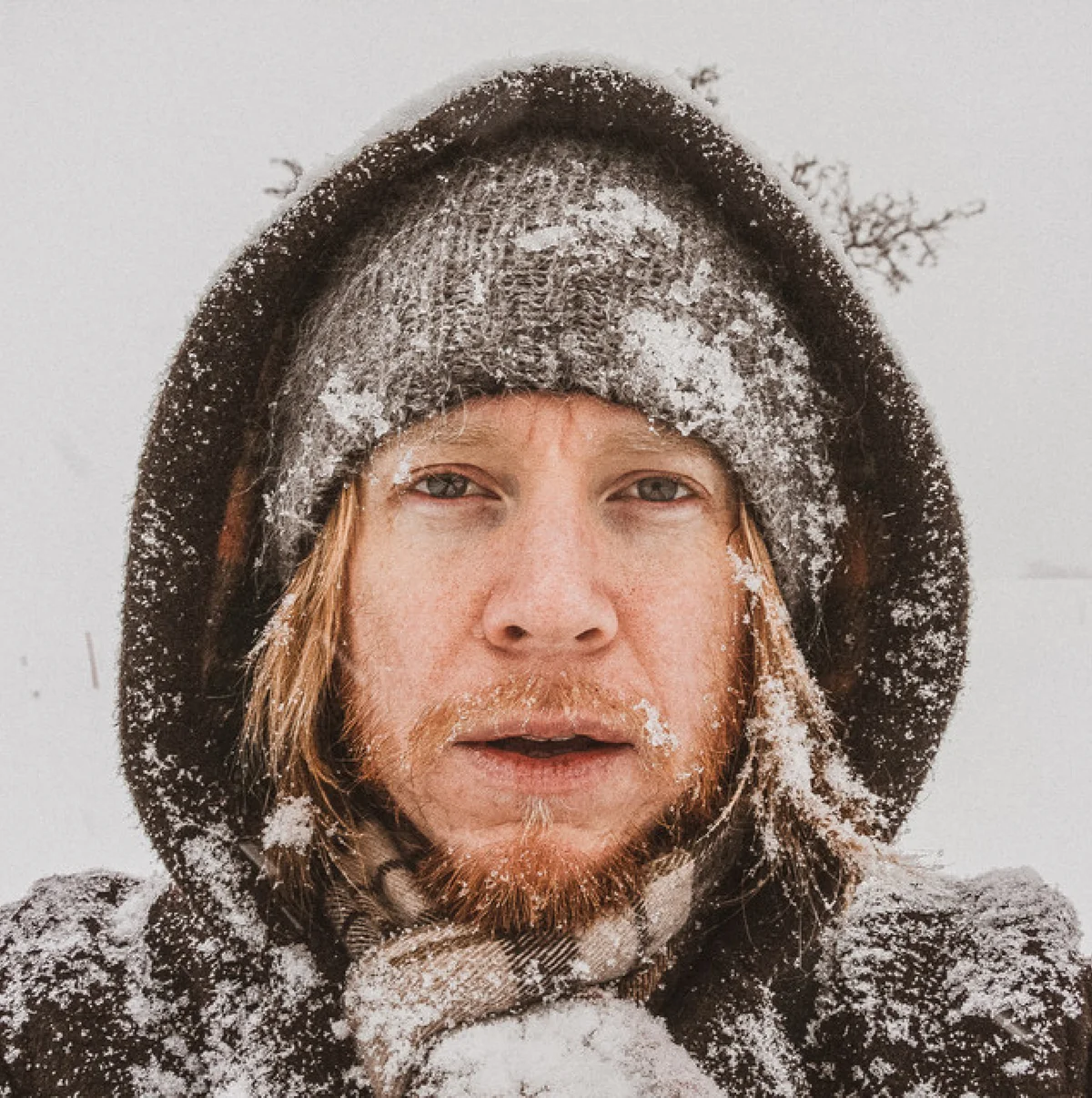 Stu Larsen