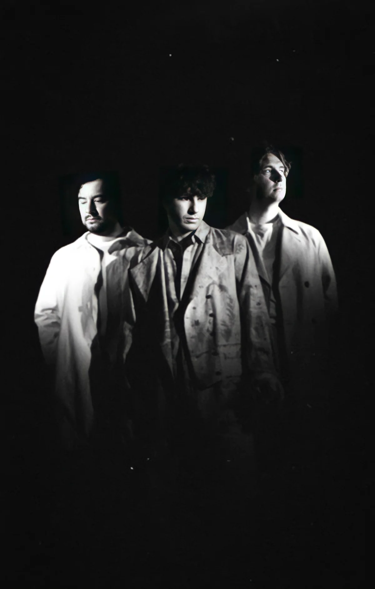 The Kooks